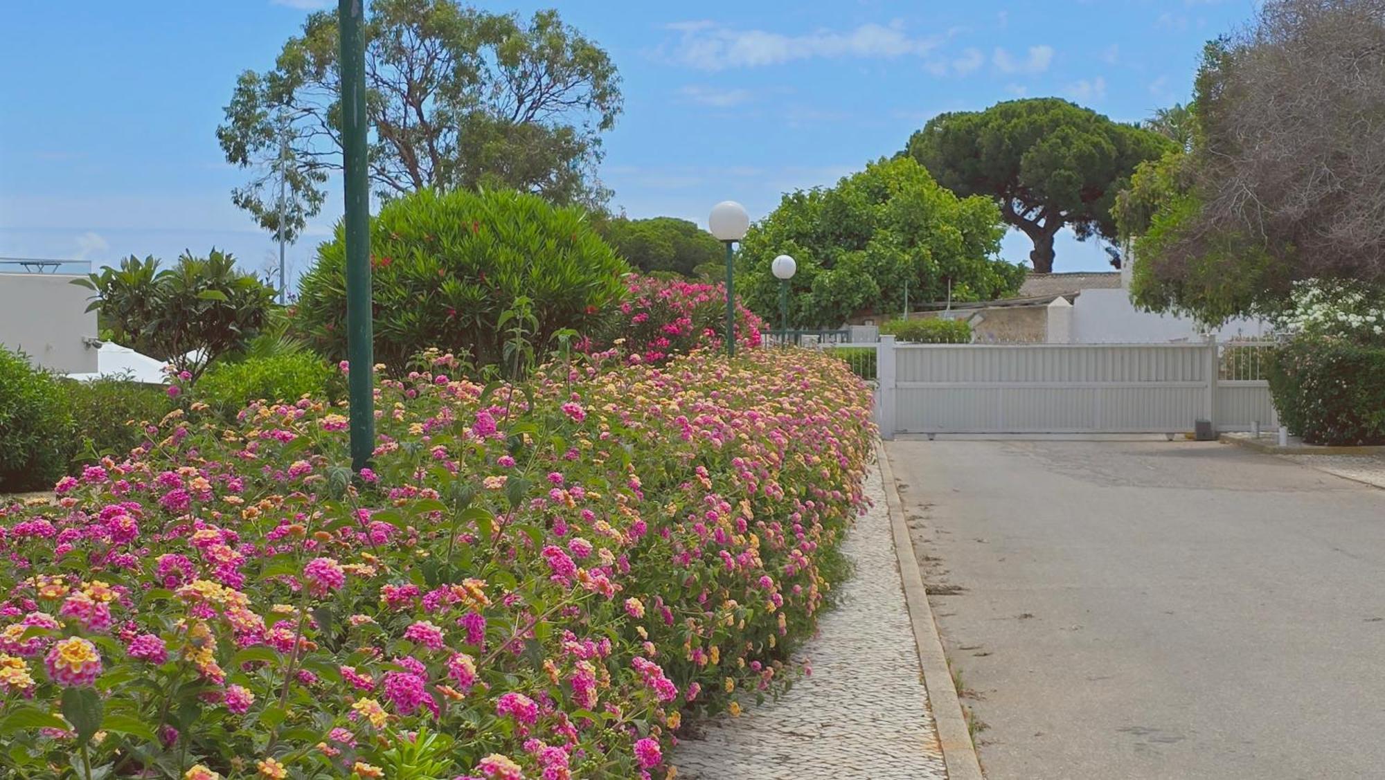 Praia Eulália with pool&5 minutes from the beach Albufeira Exterior foto